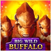 Logo of Big Wild Buffalo from Belatra Games at Playfina Casino